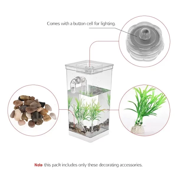 Mi Primera Pecera con Luz