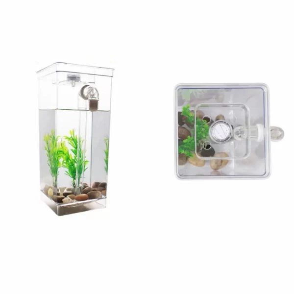 Mi Primera Pecera con Luz