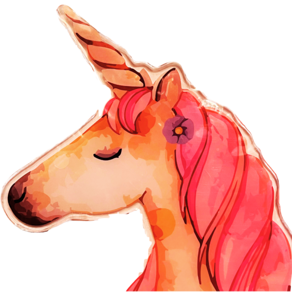 Adhesivos gel Unicornio