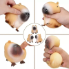 Squishy Capibara