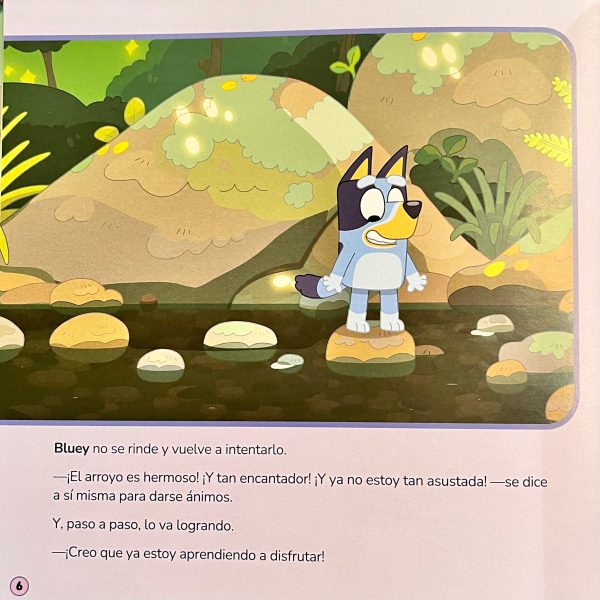 00169MT-2 Libro Bluey, El Arroyo