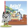 00171MT-1 Libro Bluey, Parrillada