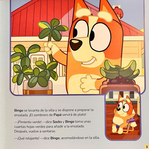 00171MT-2 Libro Bluey, Parrillada