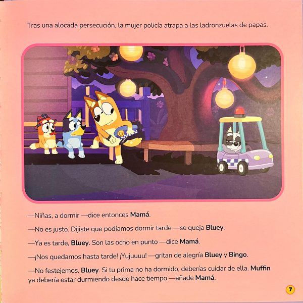 Libro Bluey, Pijamada