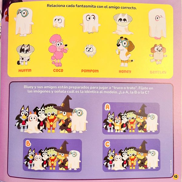 Libro Bluey, Pijamada